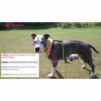 Tuig zwart skull echt roze bloemen 