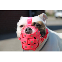 Muilkorf turquoise biothane