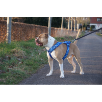 Tuig zwart Jack Skellington 