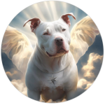 Stikker rond wit pitbull vleugels 