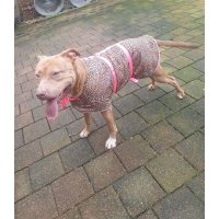 Jasje camouflage met donker petrol fleece