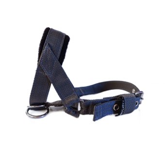 Hoofdhalster hond grijs 