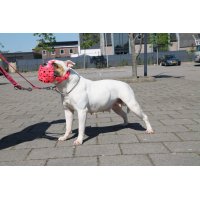 Muilkorf grijs skull kruis